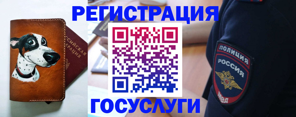 временная регистрация в квартире в Долинске